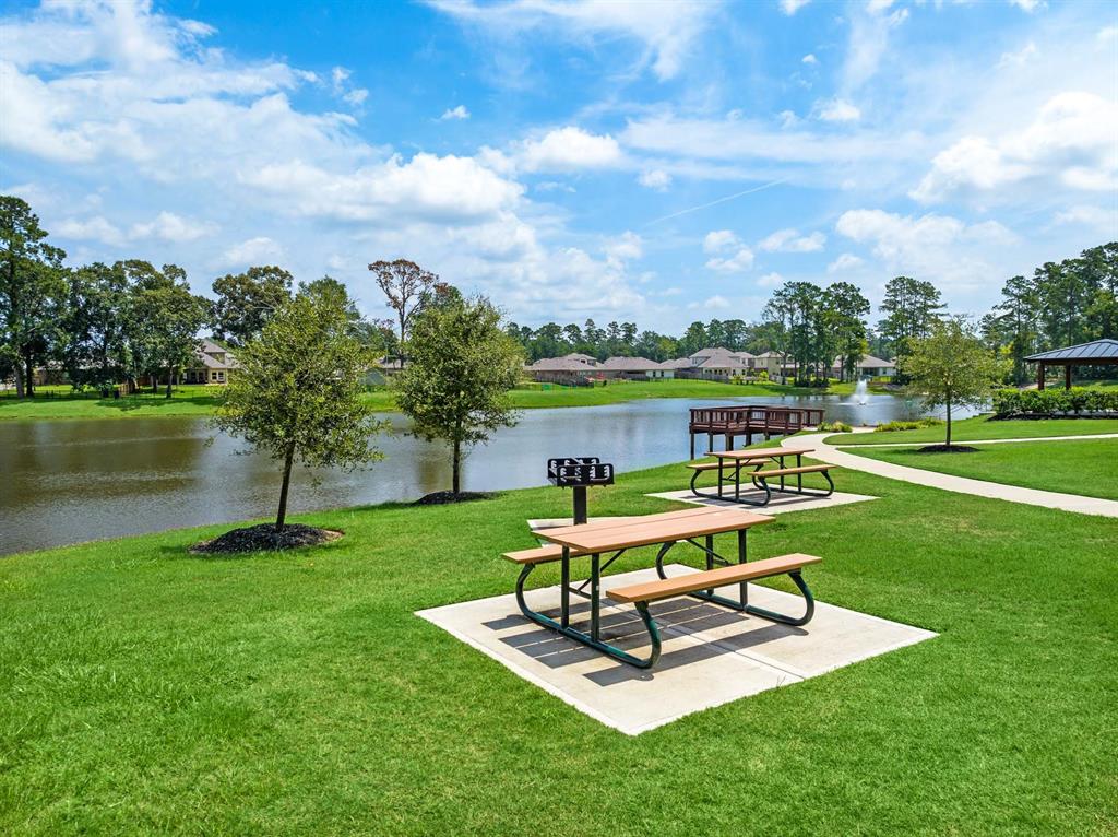 8425 Sweet Cherry Lane, Magnolia, Texas image 8