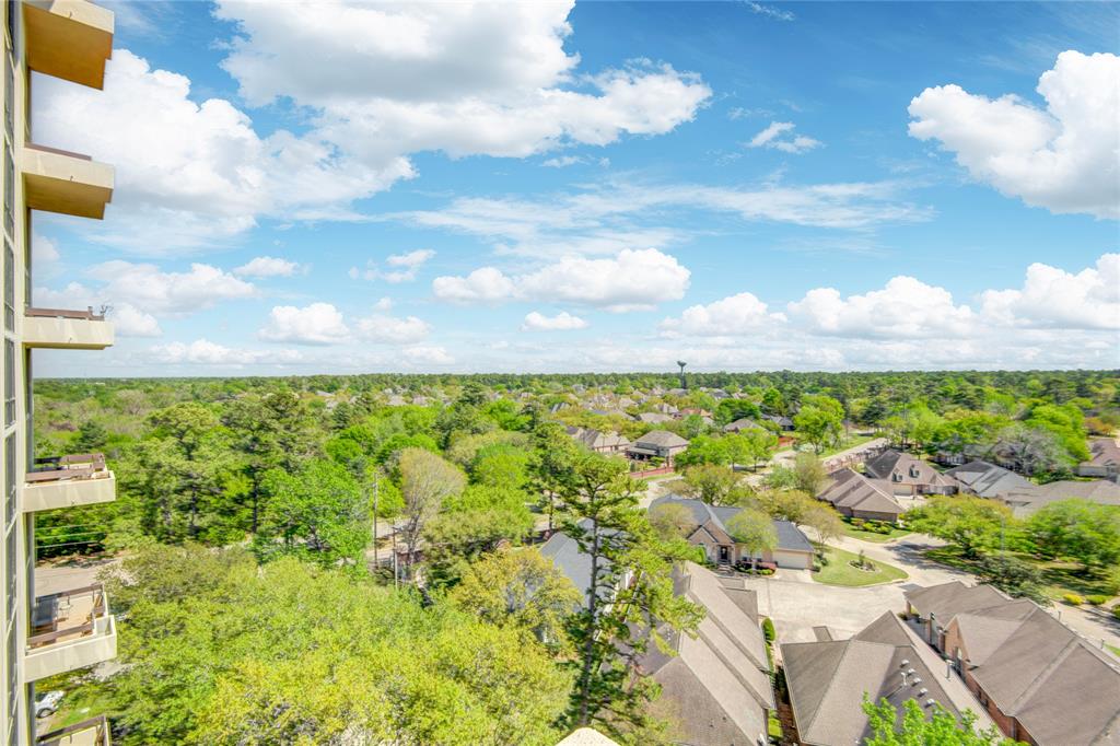 14655 Champion Forest Drive #1104, Houston, Texas image 22