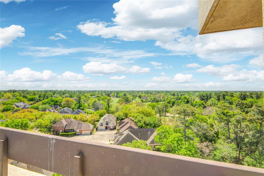 14655 Champion Forest Drive #1104, Houston, Texas image 19