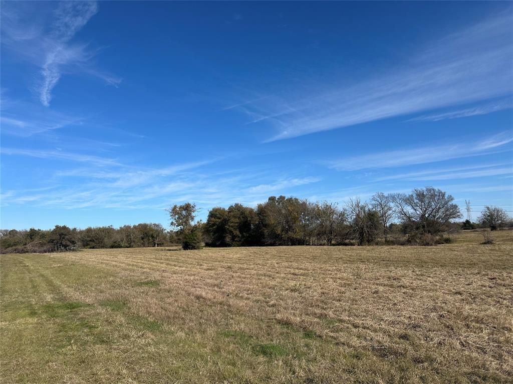 TR 10 Cr 930, Teague, Texas image 4