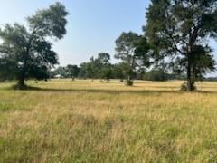 3222 Highway 21, Unit C, Paige, Texas image 6