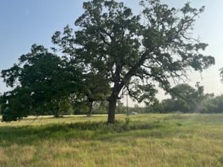 3222 Highway 21, Unit C, Paige, Texas image 4
