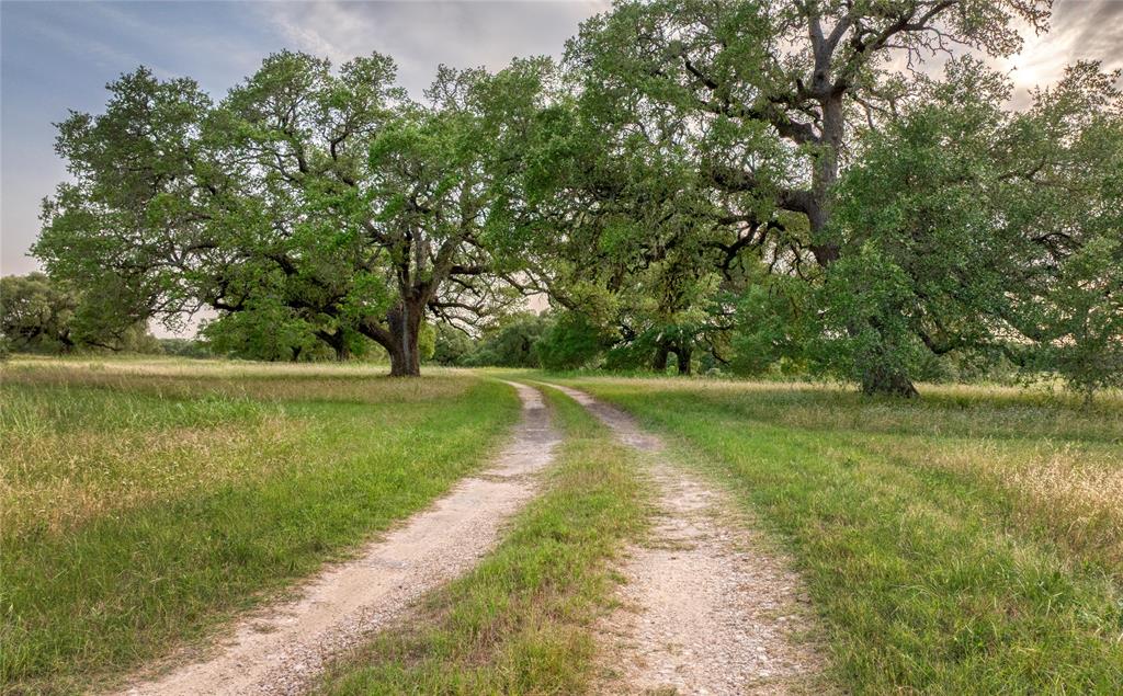 10209 Seward Plantation Road, Brenham, Texas image 48