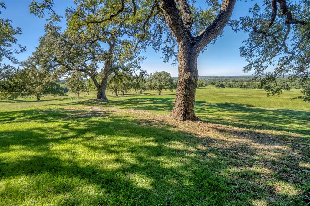 10209 Seward Plantation Road, Brenham, Texas image 42