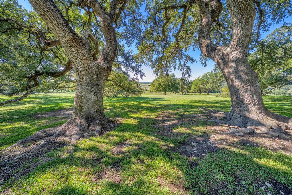 10209 Seward Plantation Road, Brenham, Texas image 35
