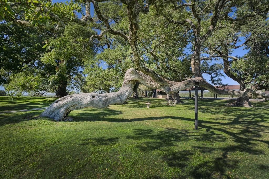 10209 Seward Plantation Road, Brenham, Texas image 41