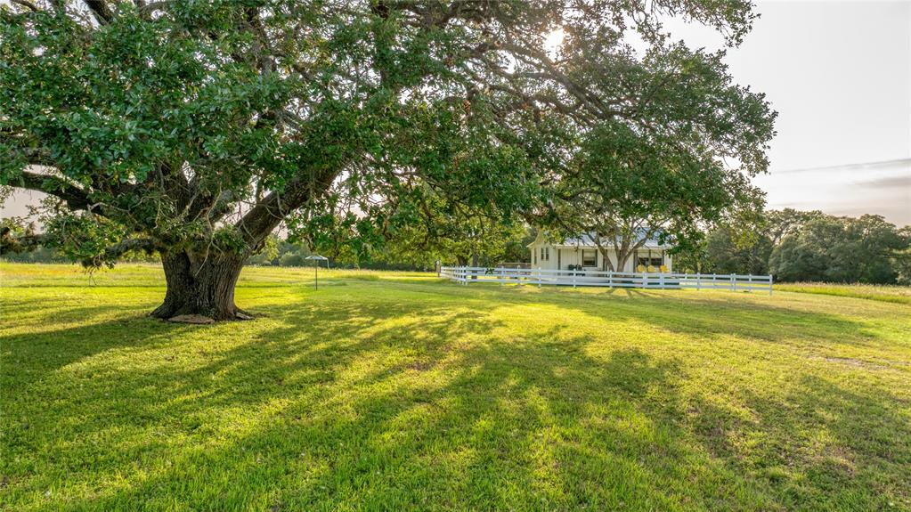 10209 Seward Plantation Road, Brenham, Texas image 36