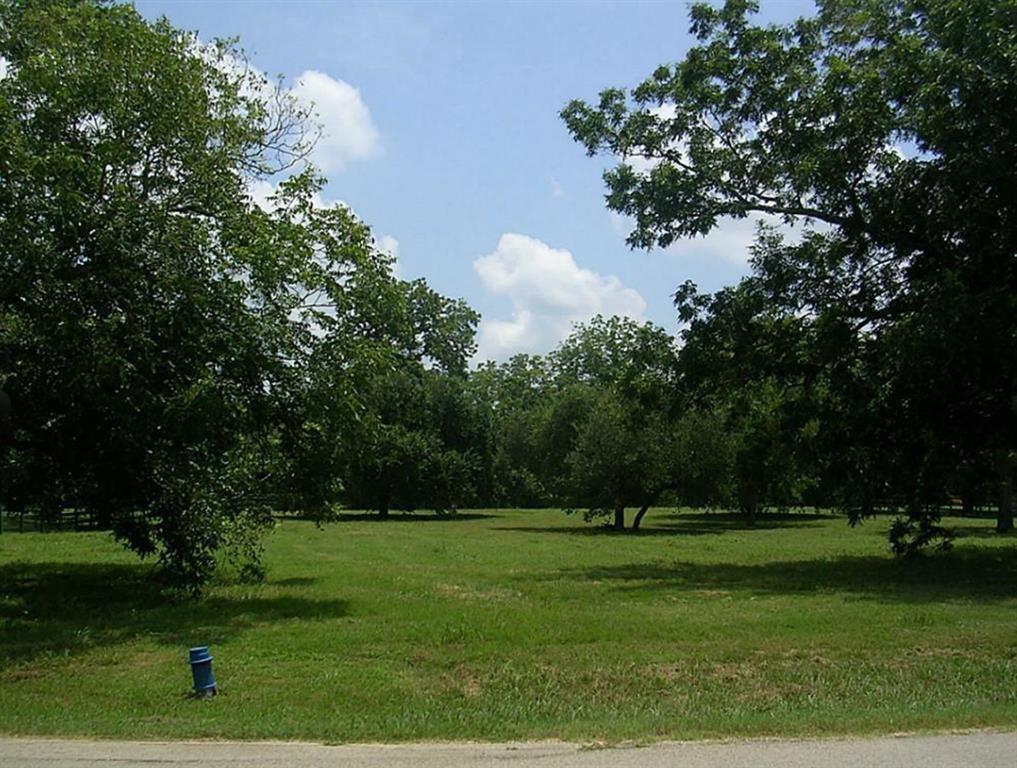 5518 Harris Woods Trace, Fulshear, Texas image 4