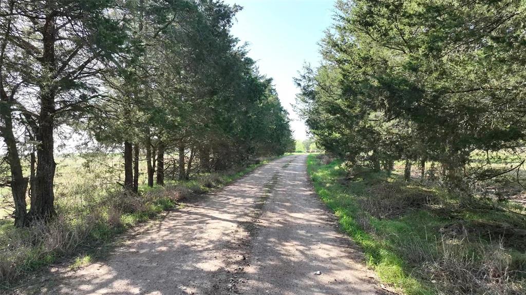 7540 Fm 389, Fayetteville, Texas image 7