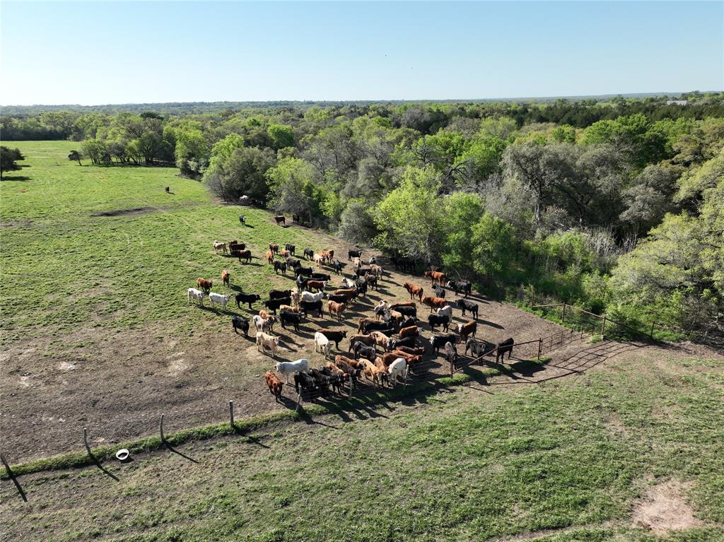 7540 Fm 389, Fayetteville, Texas image 36