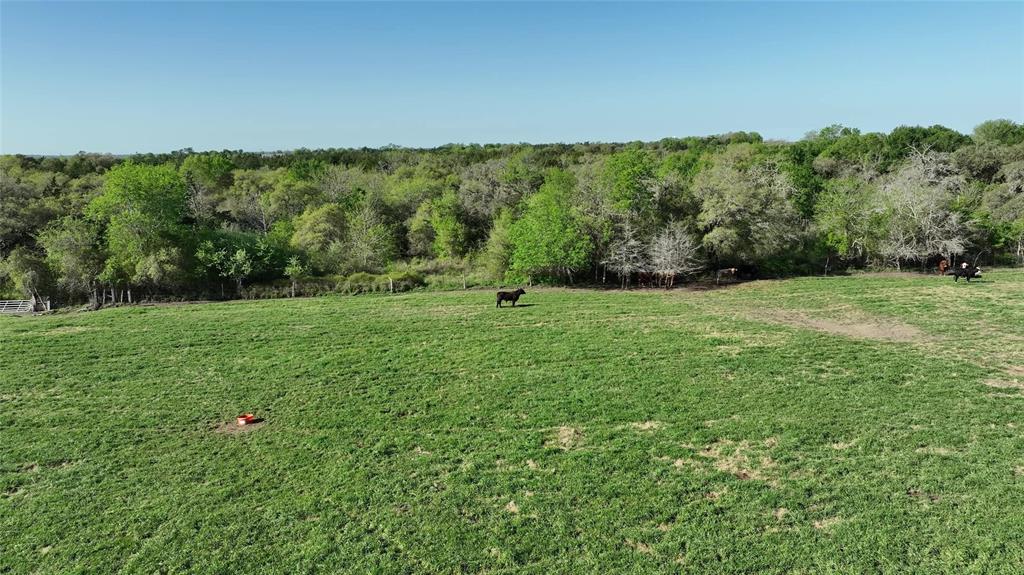 7540 Fm 389, Fayetteville, Texas image 30