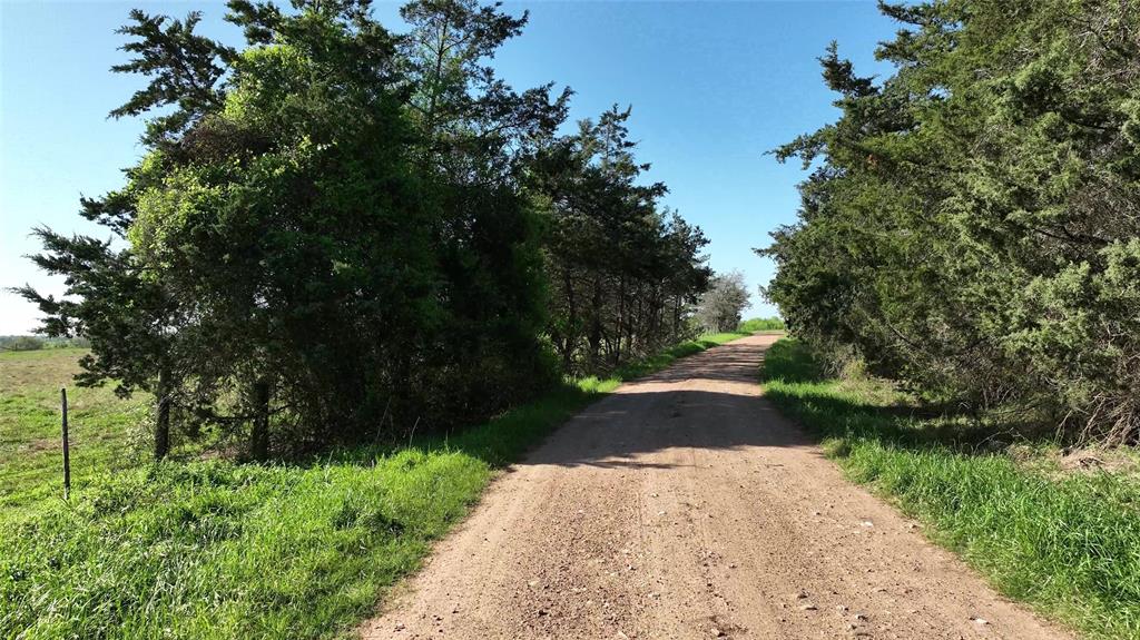 7540 Fm 389, Fayetteville, Texas image 9