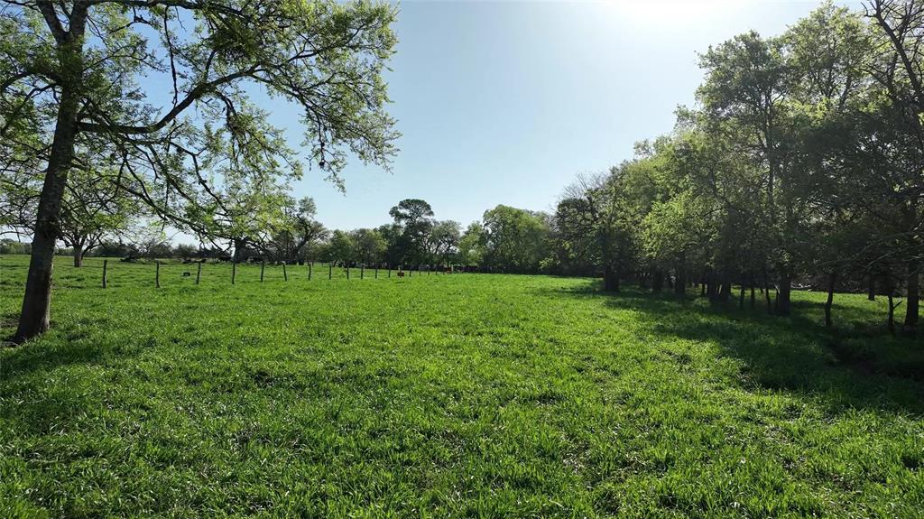 7540 Fm 389, Fayetteville, Texas image 32