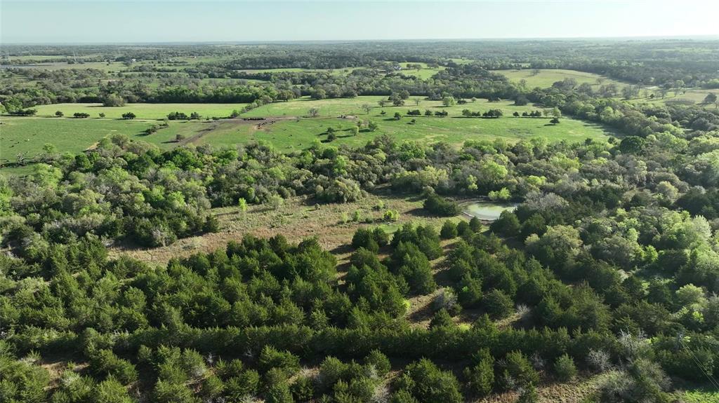 7540 Fm 389, Fayetteville, Texas image 19
