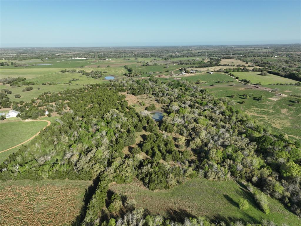 7540 Fm 389, Fayetteville, Texas image 43
