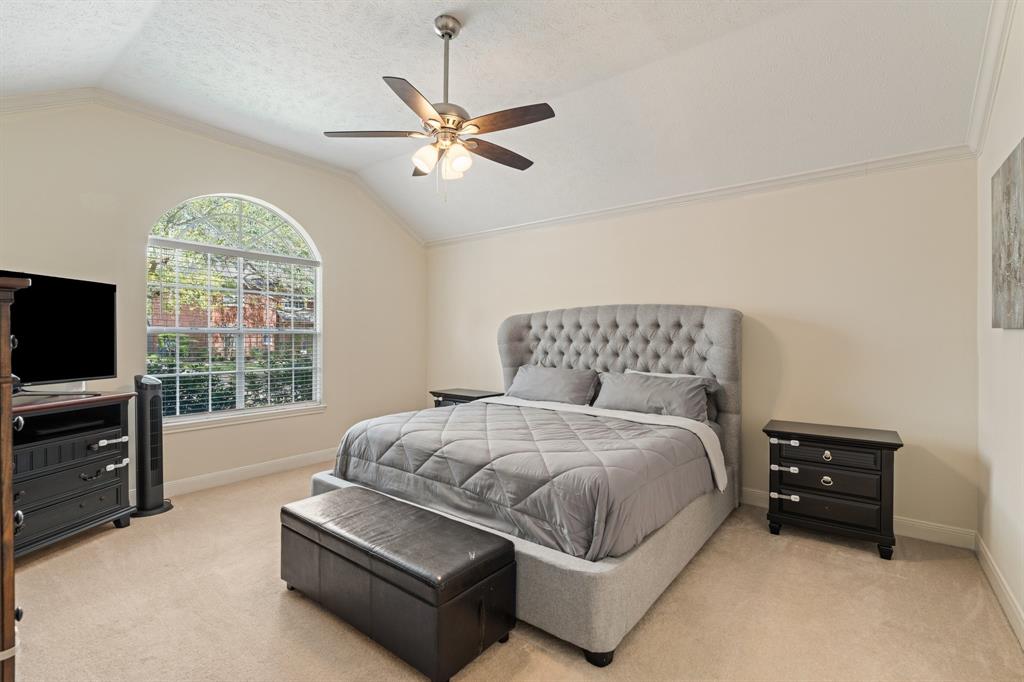 3906 E Wisteria Circle, Sugar Land, Texas image 15