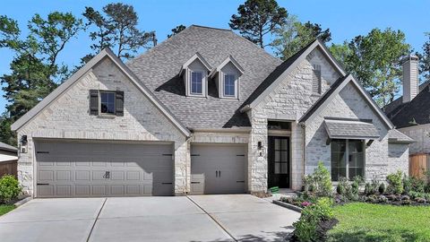 Photo of 218 Wooded Rill Court, Willis, TX 77318 (MLS # 60939879)