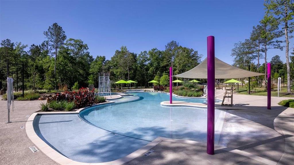 218 Wooded Rill Court, Willis, Texas image 33