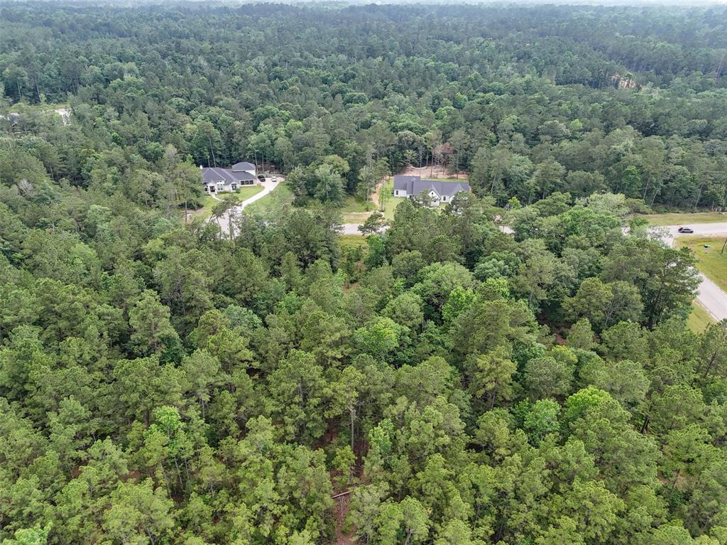 106 Eagle Run Road, Willis, Texas image 6