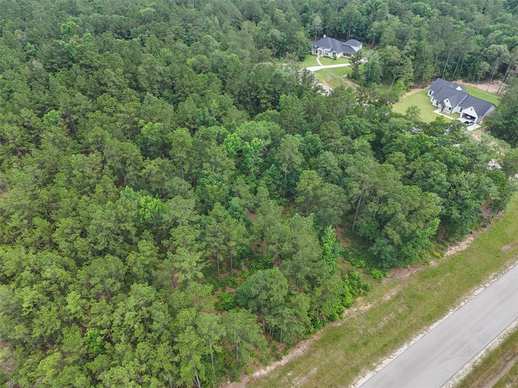 106 Eagle Run Road, Willis, Texas image 7