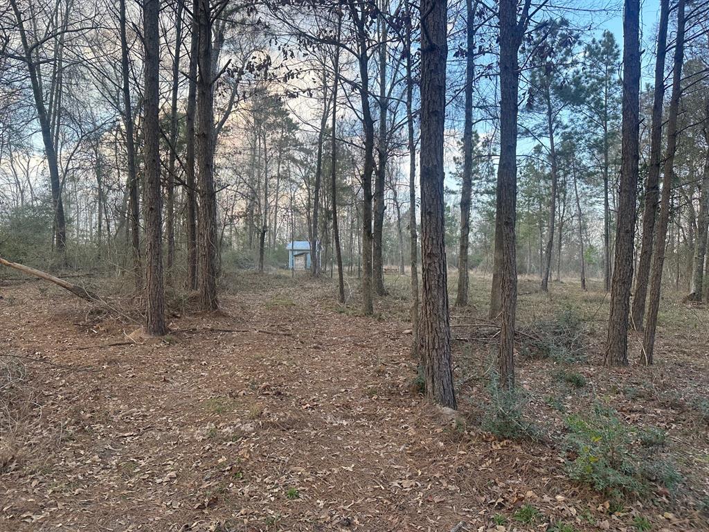 1 Denson Allen Rd, Coldspring, Texas image 2