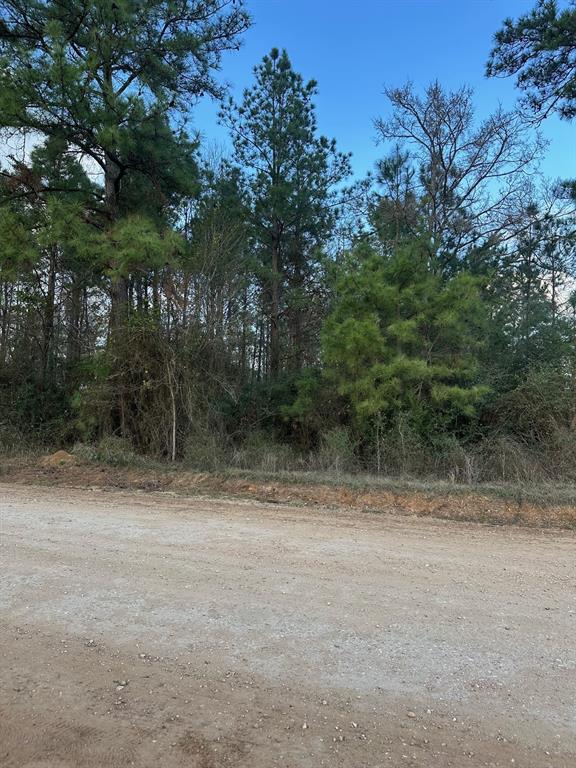 1 Denson Allen Rd, Coldspring, Texas image 4