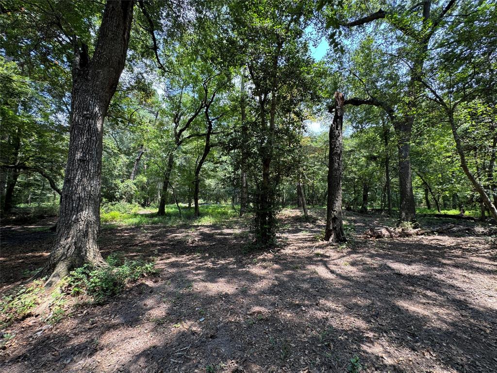 TBD Clear Creek Circle, Hockley, Texas image 8