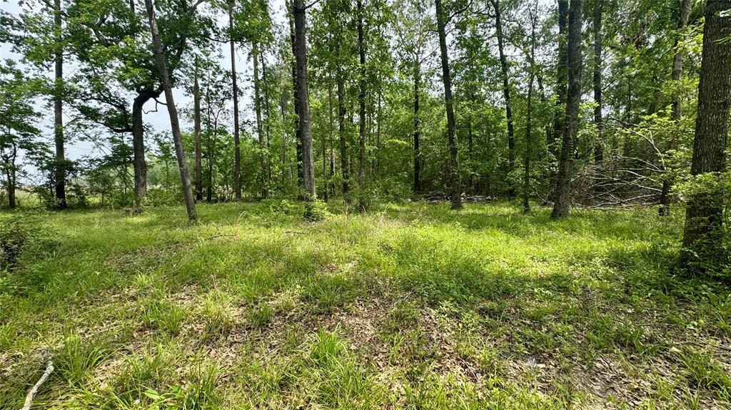 1014 County Road 2339, Dayton, Texas image 6
