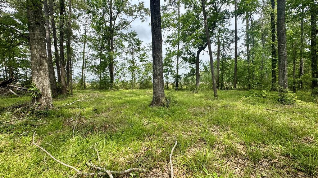 1014 County Road 2339, Dayton, Texas image 8