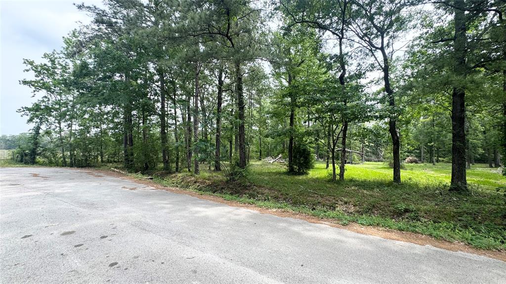 1014 County Road 2339, Dayton, Texas image 16