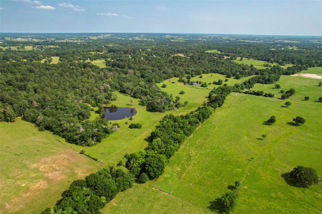 TBD County  Road 407, Navasota, Texas image 1