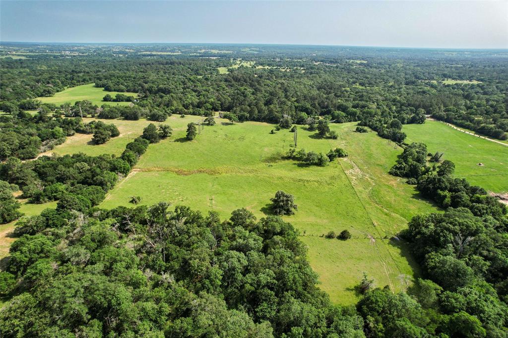 TBD County  Road 407, Navasota, Texas image 27