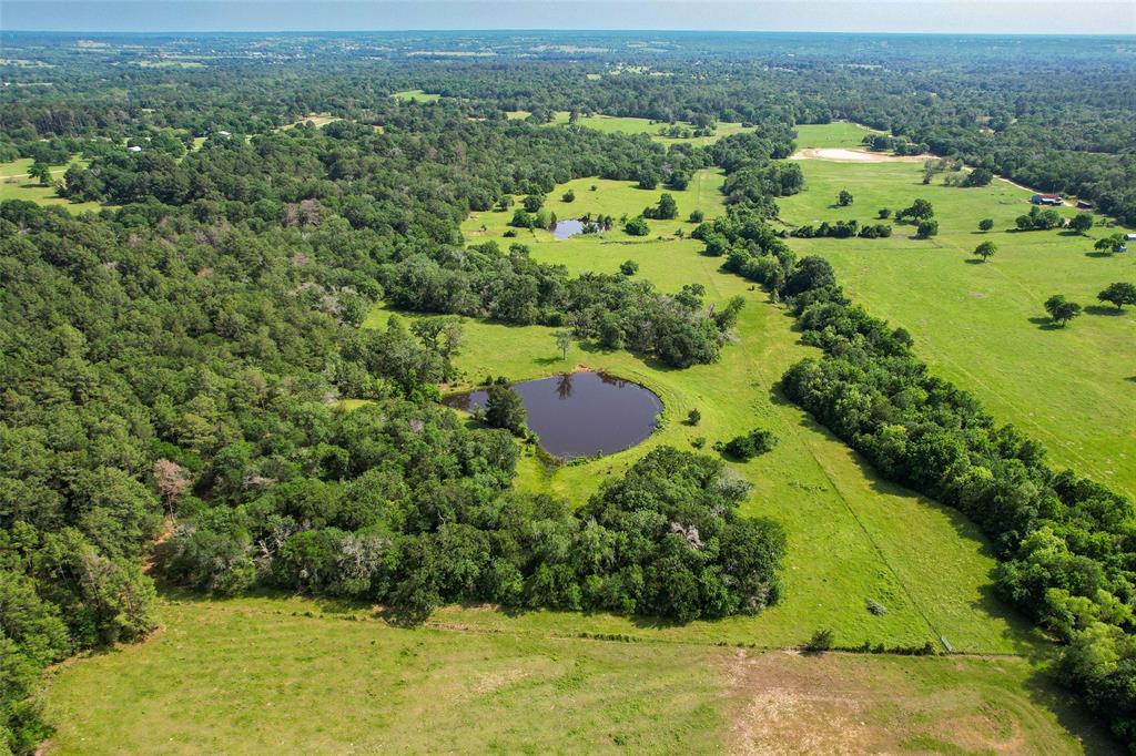 TBD County  Road 407, Navasota, Texas image 3