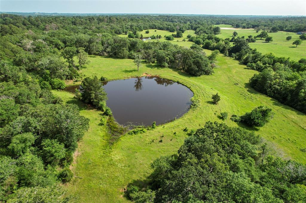 TBD County  Road 407, Navasota, Texas image 13