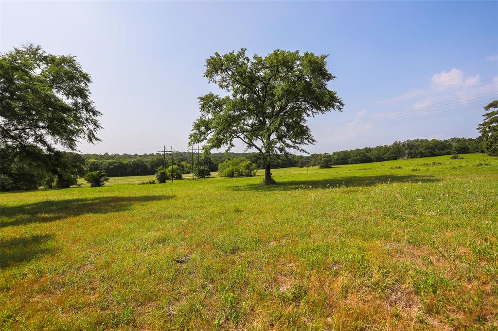 TBD County  Road 407, Navasota, Texas image 35