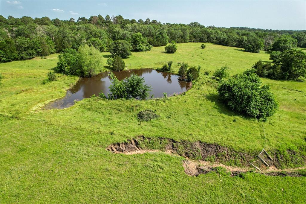 TBD County  Road 407, Navasota, Texas image 22