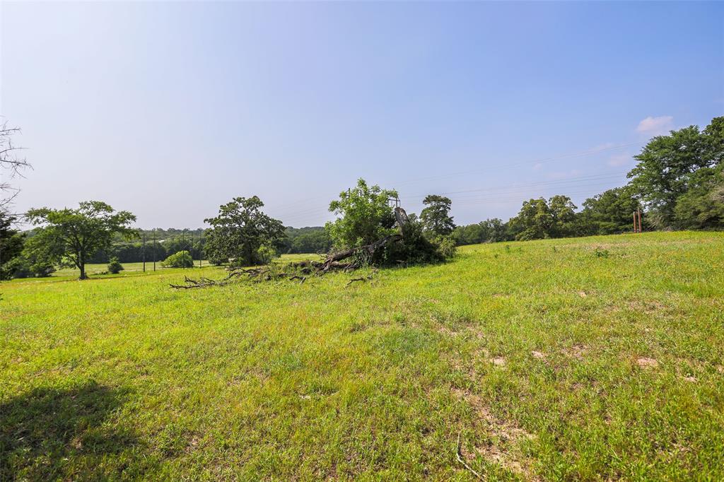 TBD County  Road 407, Navasota, Texas image 37