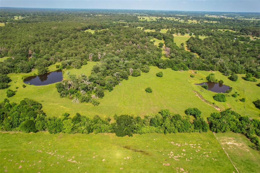 TBD County  Road 407, Navasota, Texas image 18