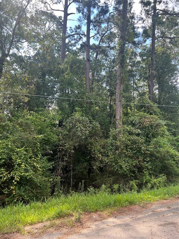 396 County Road 427 Loop, Dayton, Texas image 15