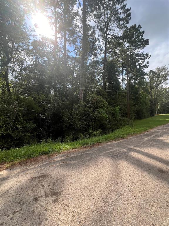 396 County Road 427 Loop, Dayton, Texas image 17
