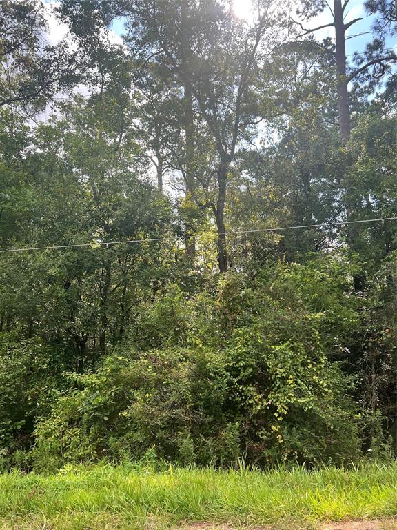 396 County Road 427 Loop, Dayton, Texas image 27