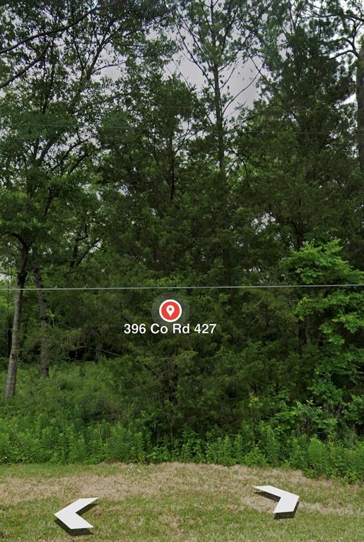396 County Road 427 Loop, Dayton, Texas image 21