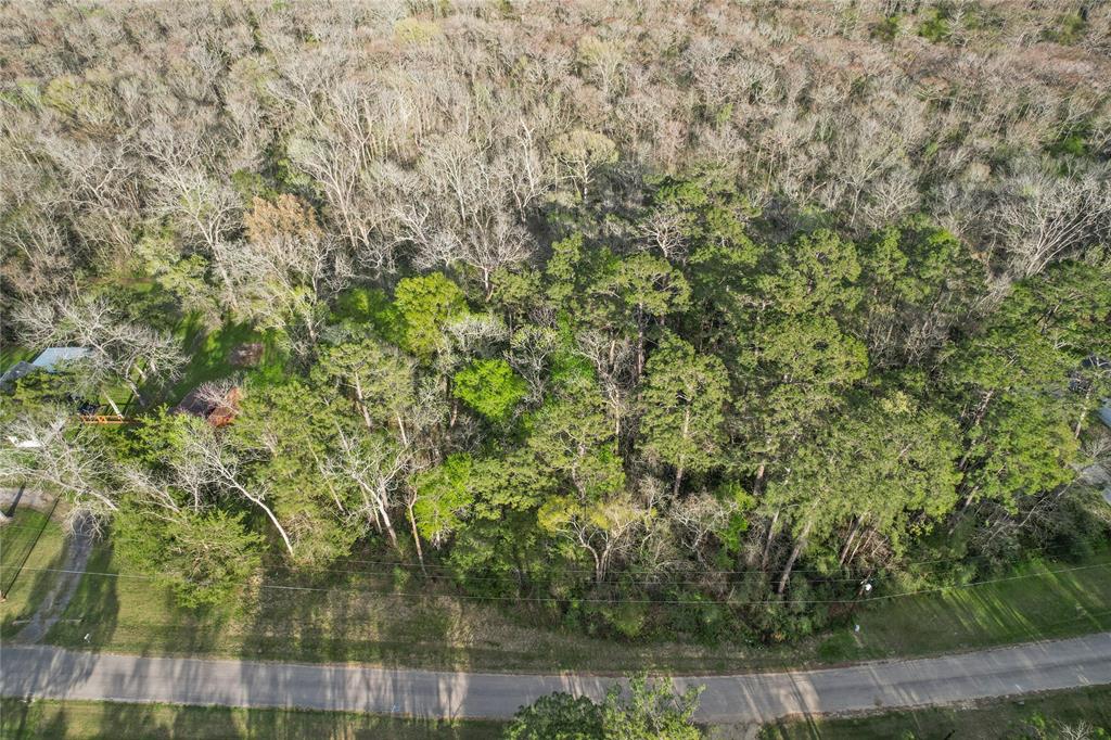 396 County Road 427 Loop, Dayton, Texas image 1