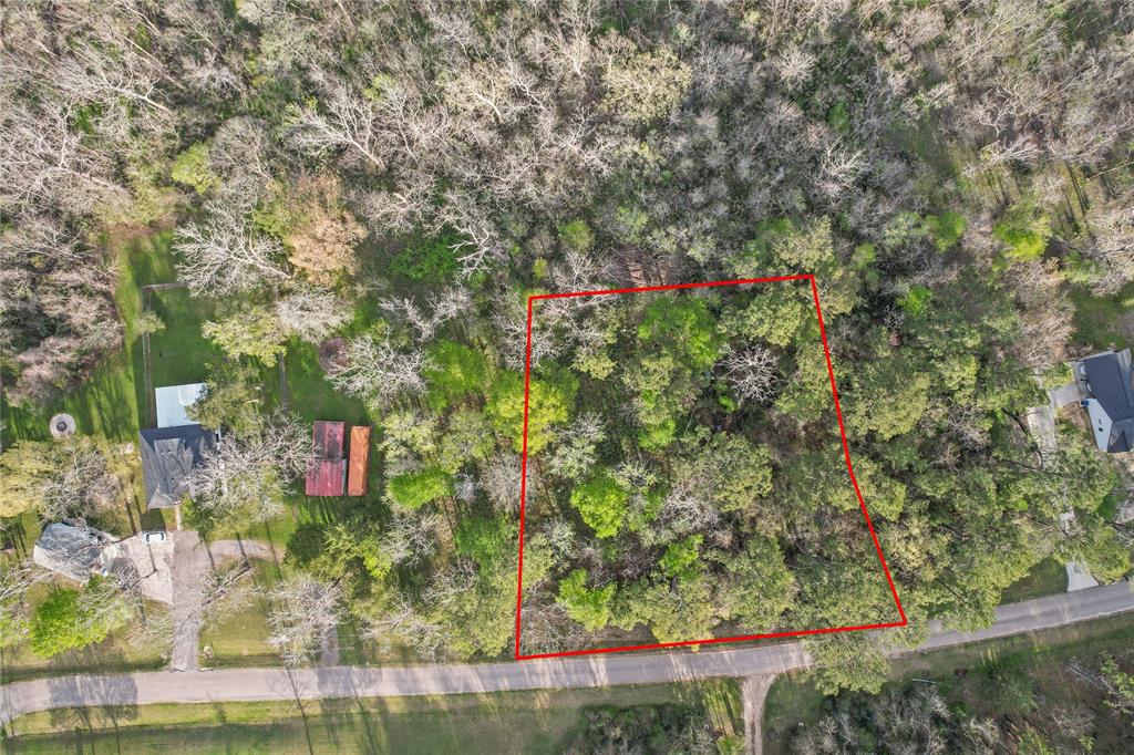 396 County Road 427 Loop, Dayton, Texas image 12