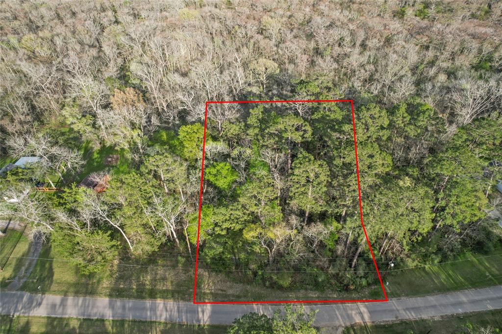 396 County Road 427 Loop, Dayton, Texas image 4