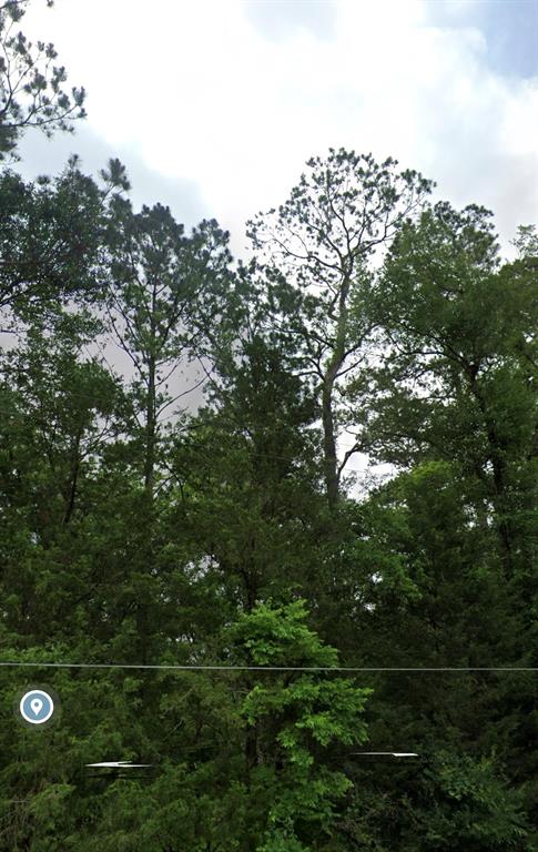 396 County Road 427 Loop, Dayton, Texas image 20