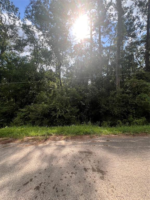 396 County Road 427 Loop, Dayton, Texas image 19