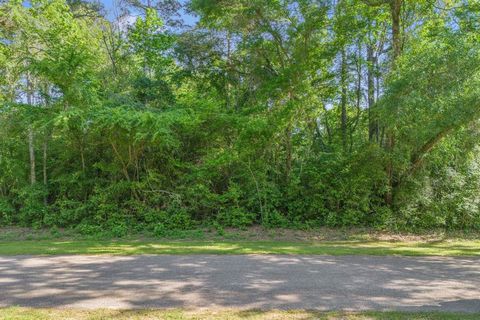 TBD Paradise Point Drive Willis TX 77318