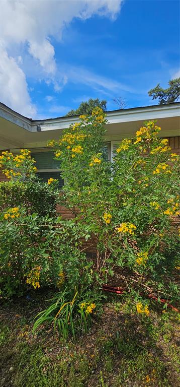 330 Neel Avenue, Lumberton, Texas image 9