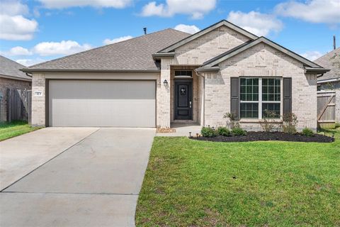 323 Jewett Meadow Drive Magnolia TX 77354